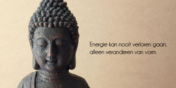 photo_four